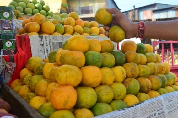 Amid 'Vocal for Local' slogans, Orange Production falls in Tripura's Jampui